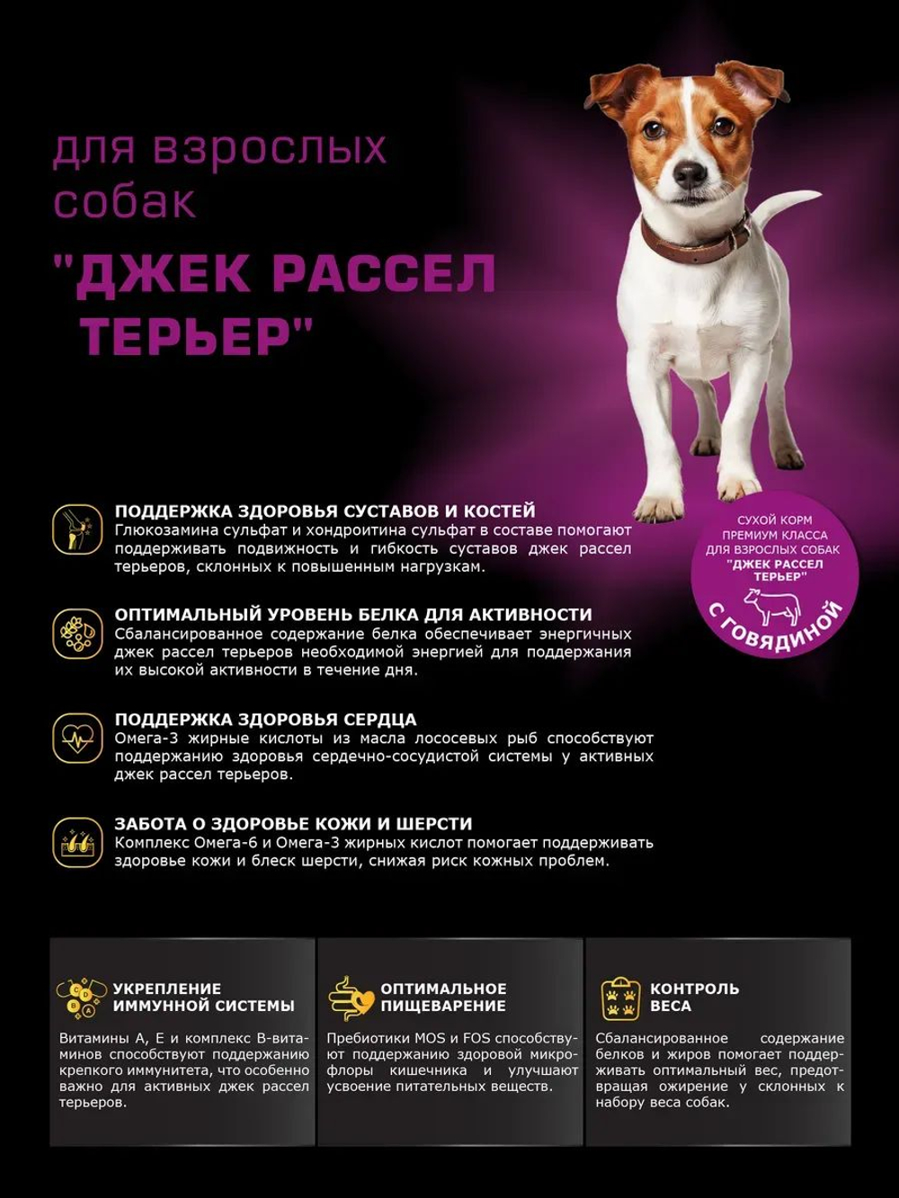 Корм сухой для взрослых собак породы Джек Рассел Терьер, с говядиной, 2,5 кг, QUATTRO