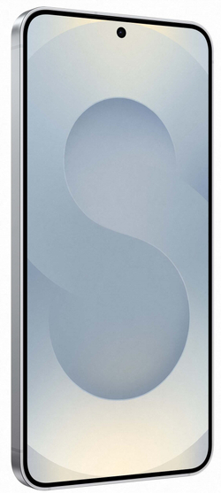 Samsung Galaxy S25 12/256Gb Silver Shadow