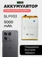Аккумулятор для OnePlus Ace Racing Edition 5000 mAh (BLP933) ORIGberry