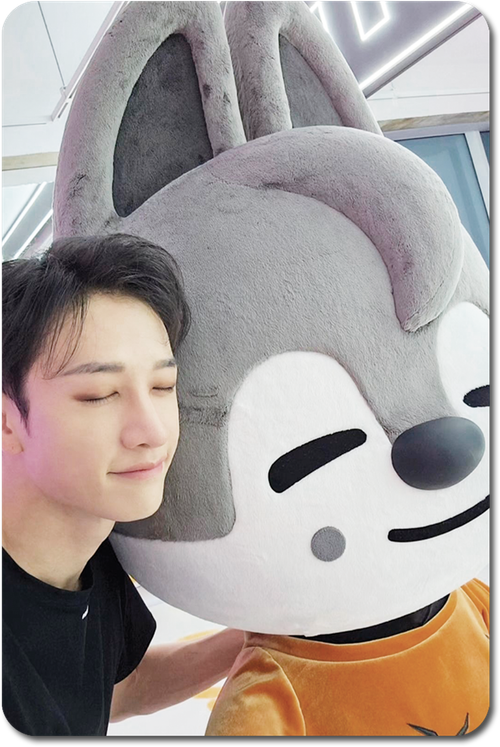 Карта / STRAY KIDS #0316