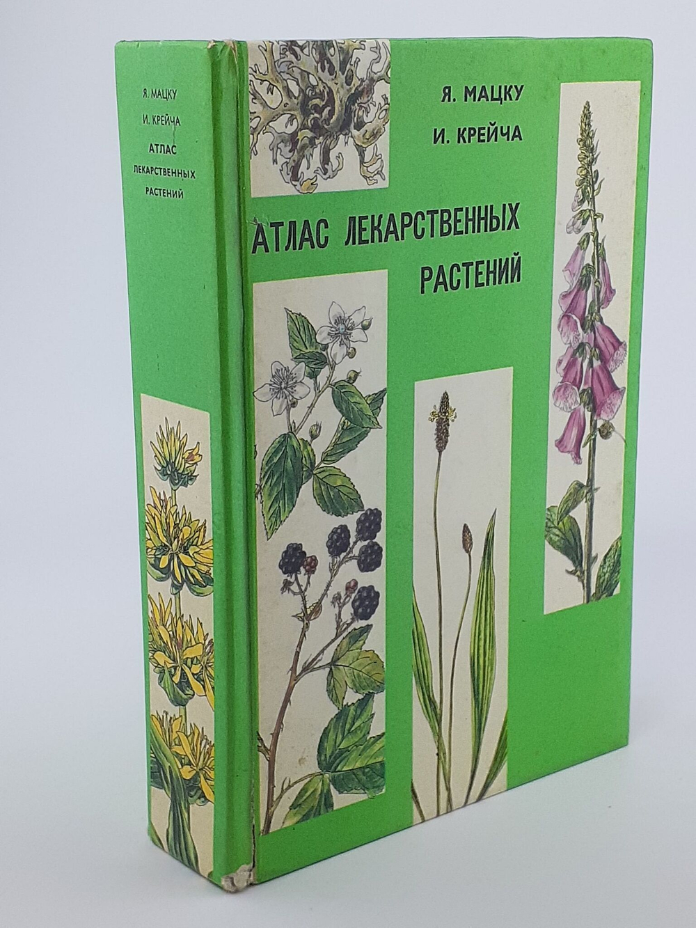 Атлас лекарственных растений