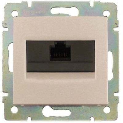 4138/4238 Розетка INT слоновая кость 10шт