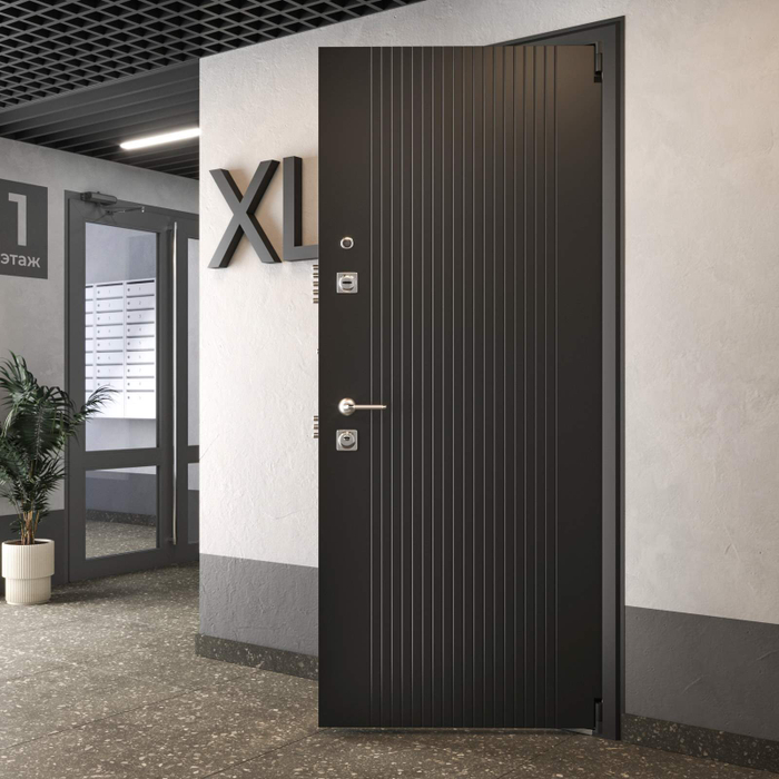 Входная дверь XL с зеркалом