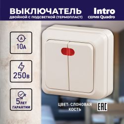 Выключатель Intro Quadro 2-105-02 двухклавишный с подсветкой, 10А-250В, IP20, ОУ, слоновая кость