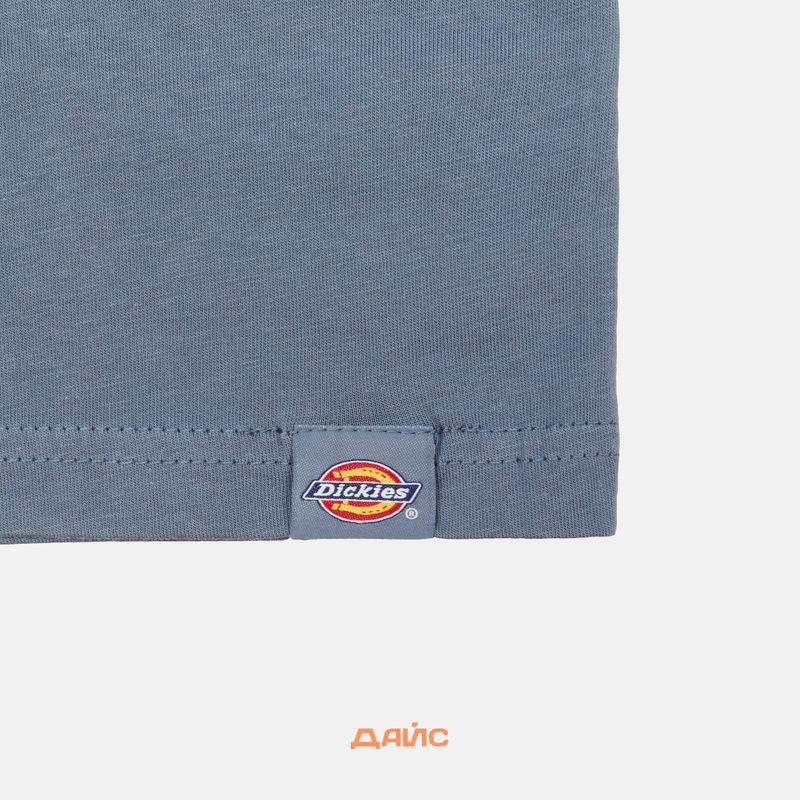 Футболка мужская Dickies Enterprise артикул:DK0A4YRNG701 - купить в магазине Дайс