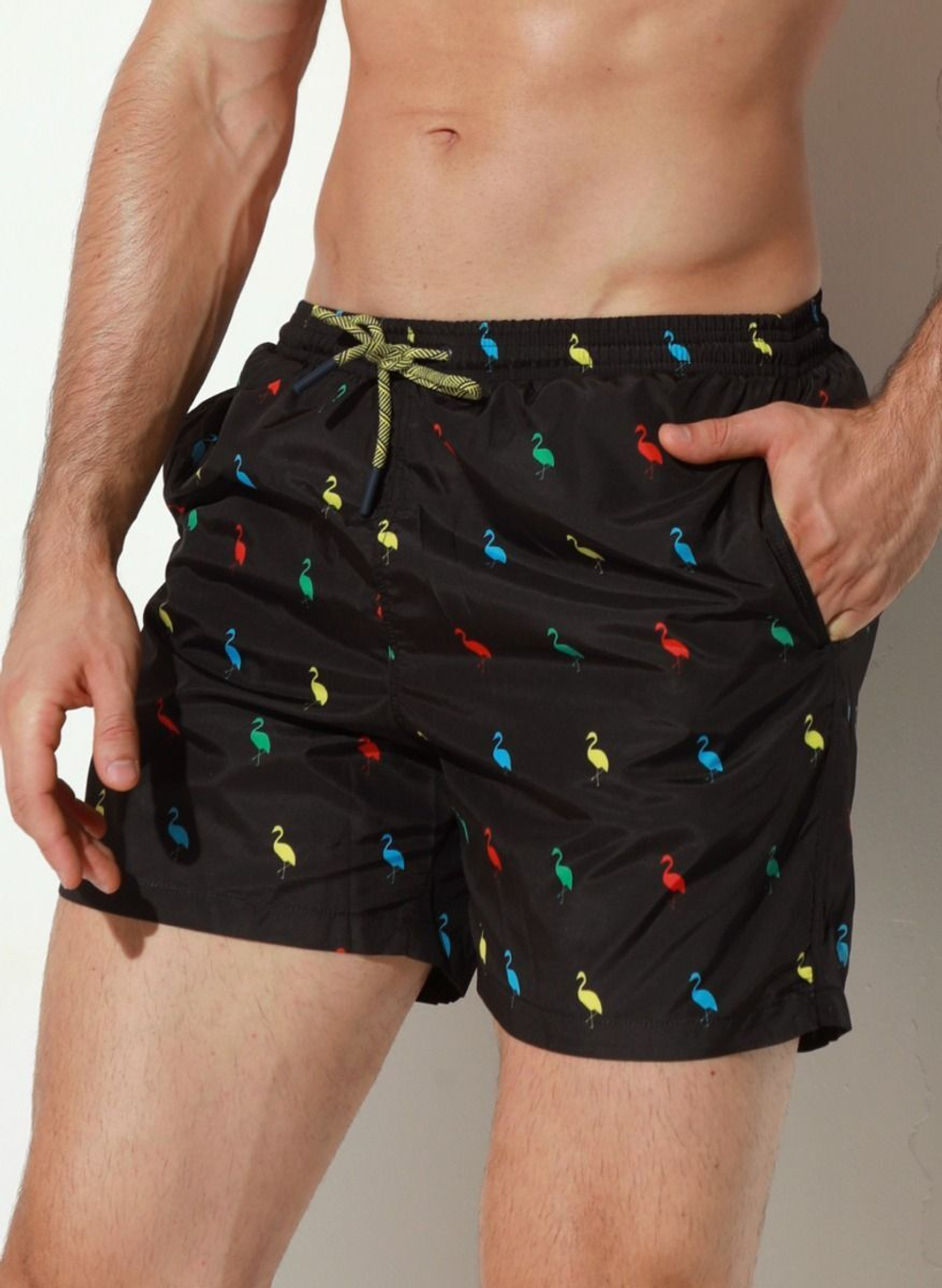 Мужские пляжные шорты с принтом в виде цветных фламинго (Размер: L) (Цвет: черный)