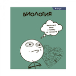 Комплект предметных тетрадей А5 48л., 10 предметов, со справ матер, скрепка, мелов. картон (стандарт), блок офсет, Alingar "Мемы"