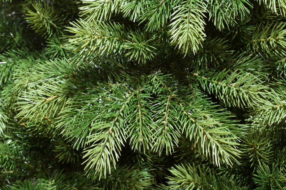 Ель искусственная «Луиза» (Литая хвоя) 230 см / 2,3 м