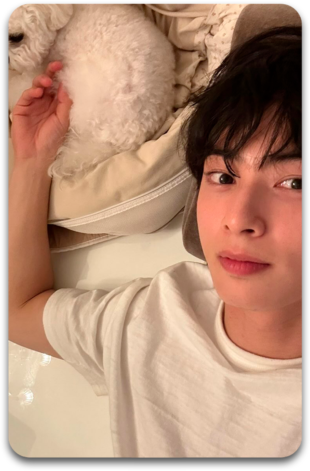 Карта #2497 / Eunwoo (Astro)