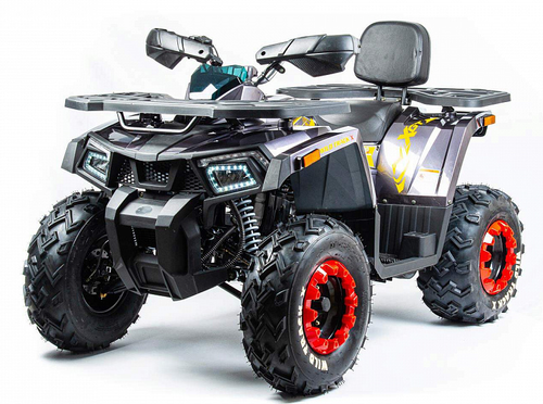 Квадроцикл MOTOLAND (МОТОЛЕНД) 200 WILD TRACK X (баланс. вал)