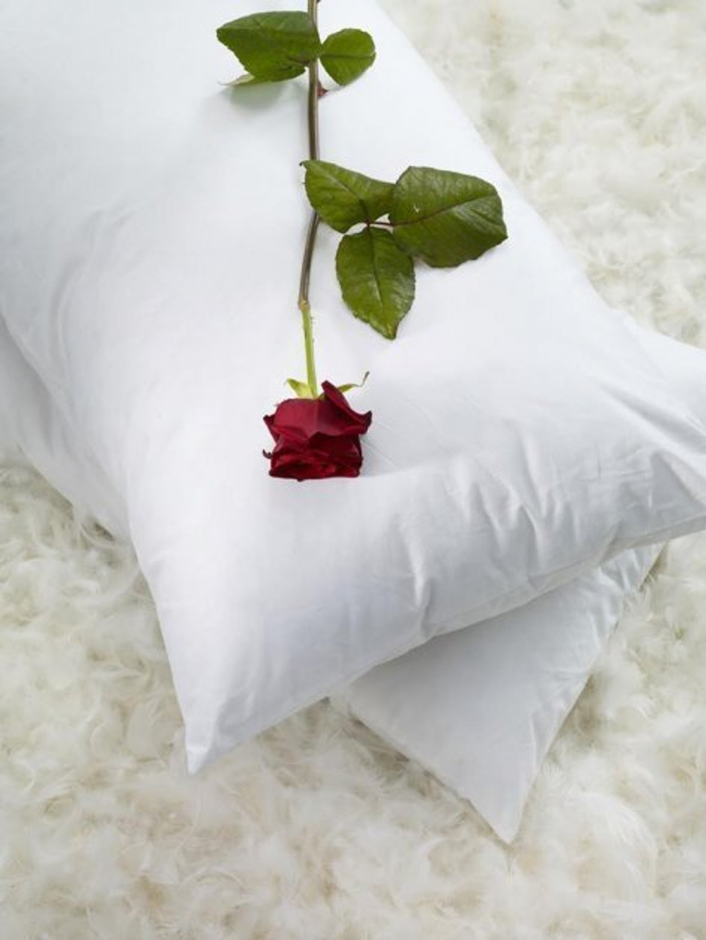 Подушка средняя 50х70 Cinelli Luxury