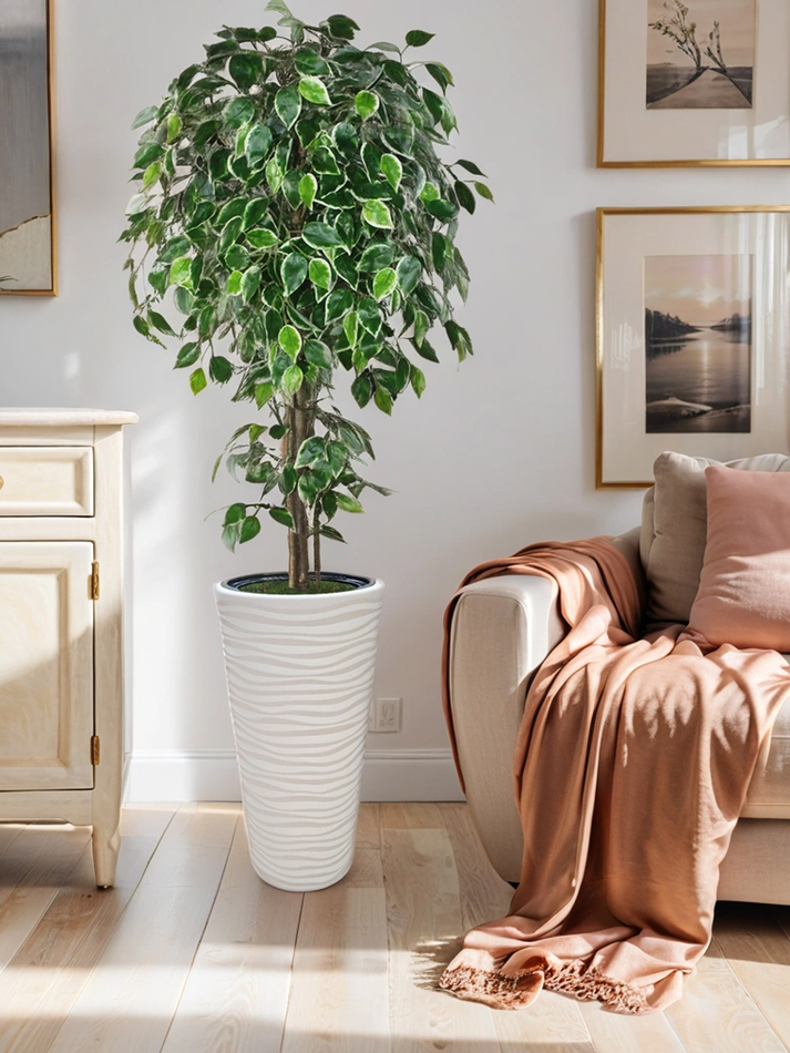 Искусственное дерево Фикус Пестрый 170 см в высоком круглом белом кашпо