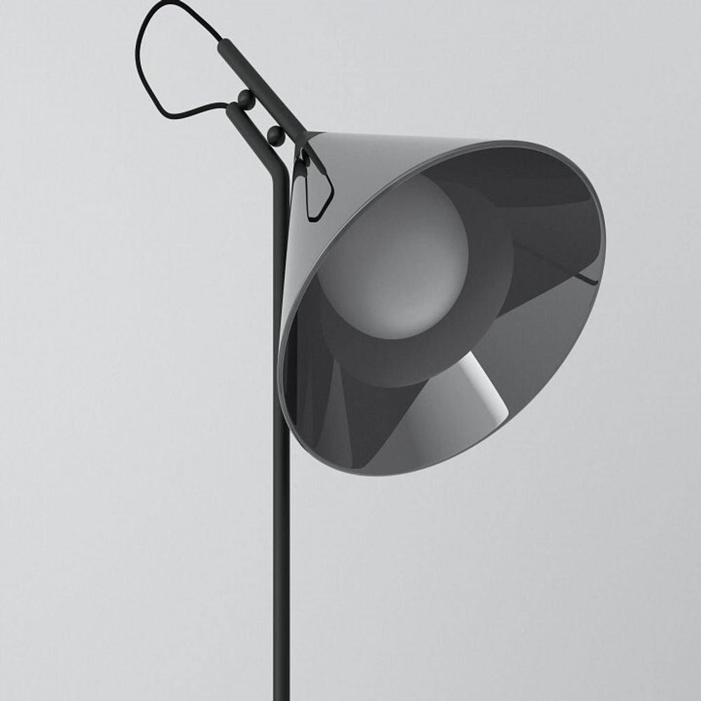 Настольная лампа декоративная Eurosvet Enigma 01186/1 черный