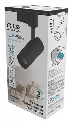 Светильник на штанге Gauss TR TR065