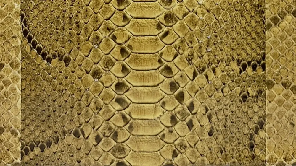 Сумка из натурального питона бежево-песочного цвета