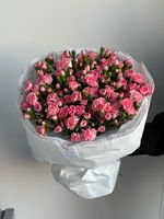 Моно букет из кустовых диантусов в розовом оттенке 51 шт