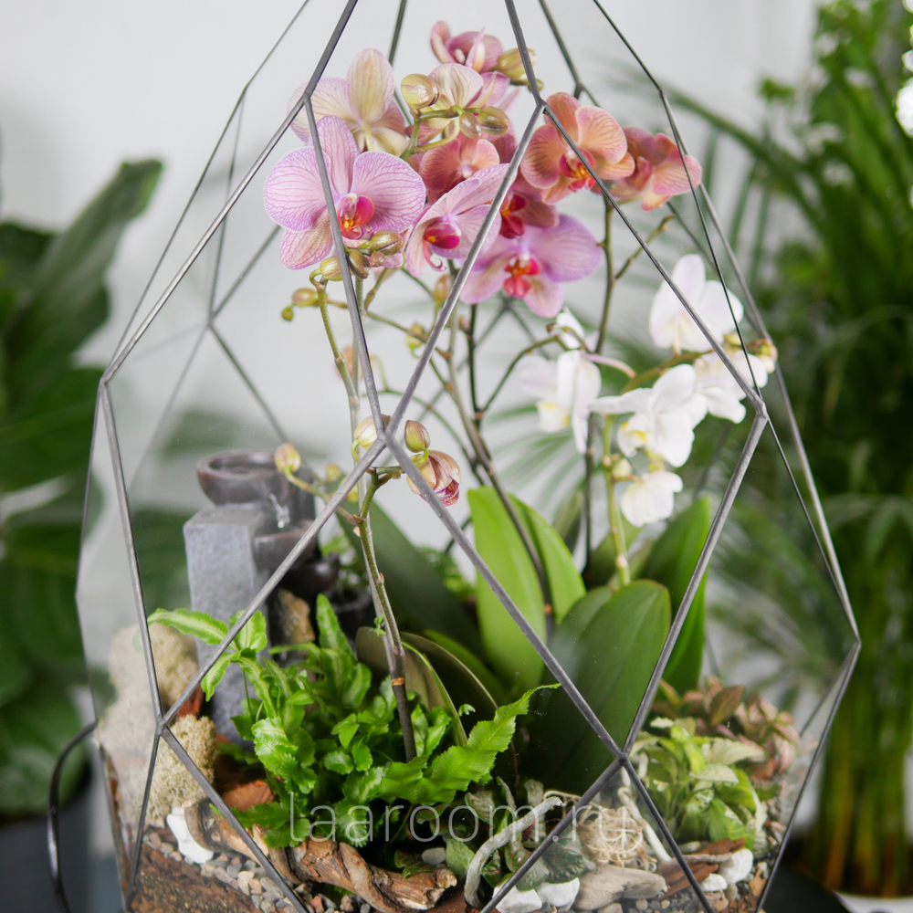 Флорариум с орхидеей и водопадом Будда Фаберже