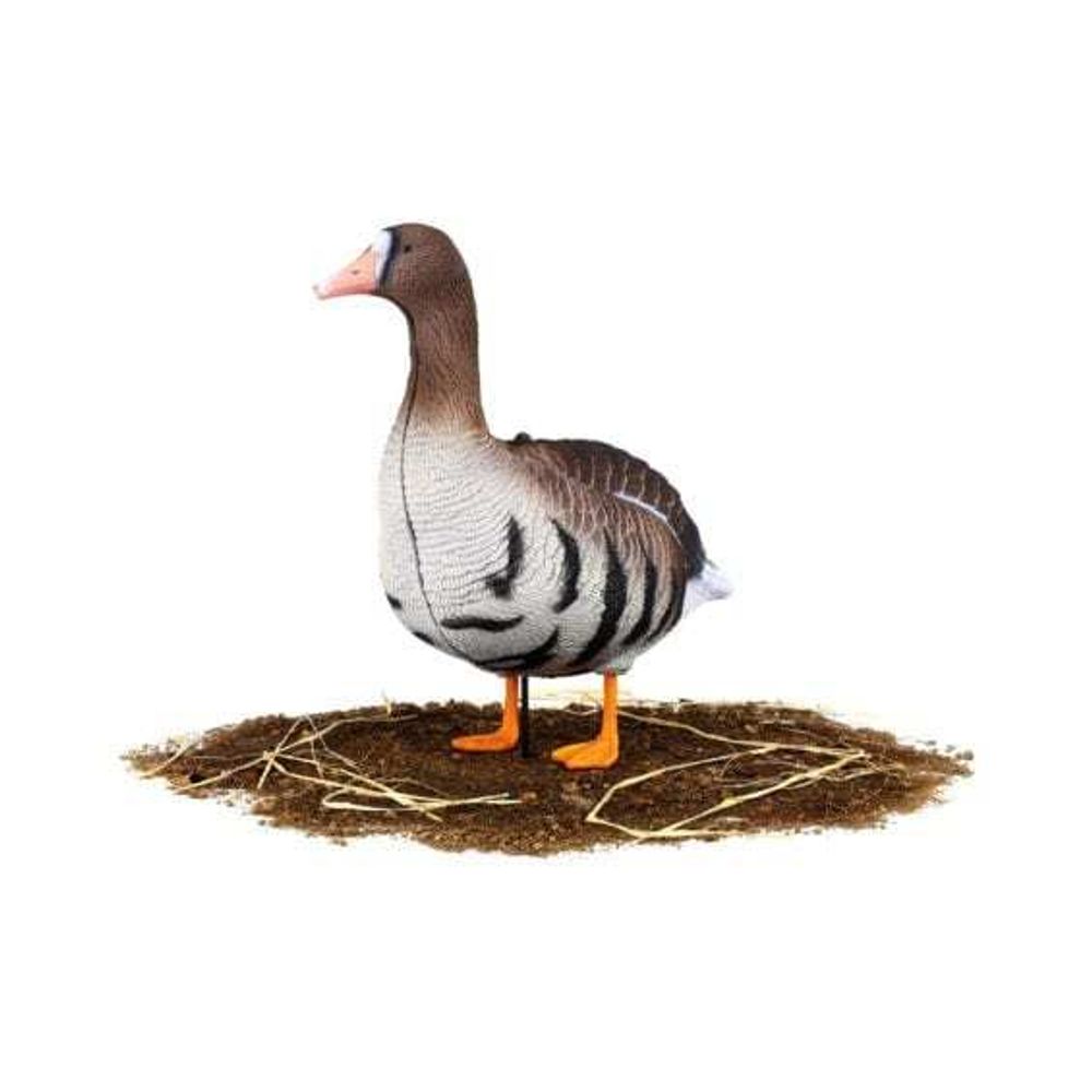 Комплект чучел Белолобый (10шт) S-XPE B622-3D "North Way"