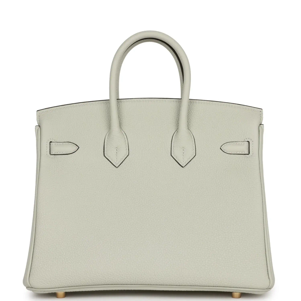 Женская сумка из коллекции B с золотой фурнитурой Hermès Birkin