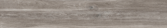 20x120 Aspenwood Греж Матовый R10A