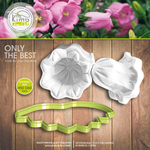 Колокольчик Campanula medium цветок большой