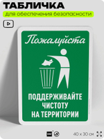 Табличка для обеспечения безопасности "Пожалуйста, поддерживайте чистоту", для офиса, по охране труда для предприятия, организаций, 40х30 см, Silver Plane x Айдентика Технолоджи