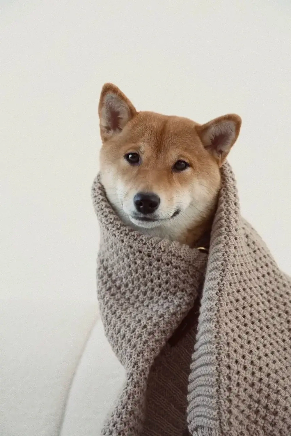 Вязаный плед