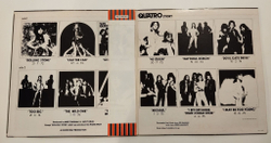 Винтажная виниловая пластинка LP The Suzi Quatro Story Golden Hits (Japan 1975) (Obi, Poster)