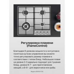 Газовая панель Hansa BHGI631542