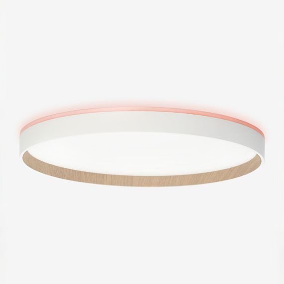 Потолочный светодиодный светильник Citilux Etalon CL750400R