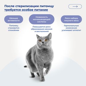 Сухой корм Jarvi для стерилизованных кошек и кастрированных котов, кролик