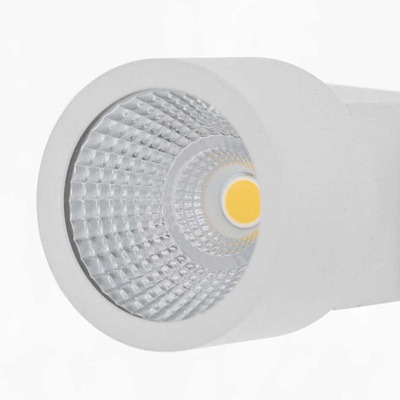 Потолочный светодиодный светильник Citilux Дубль CL556100