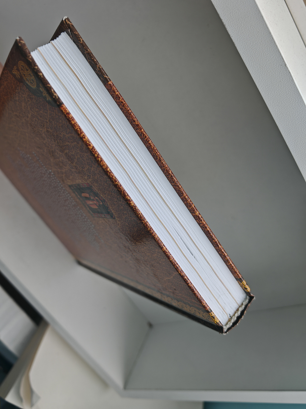 Небесные заступники