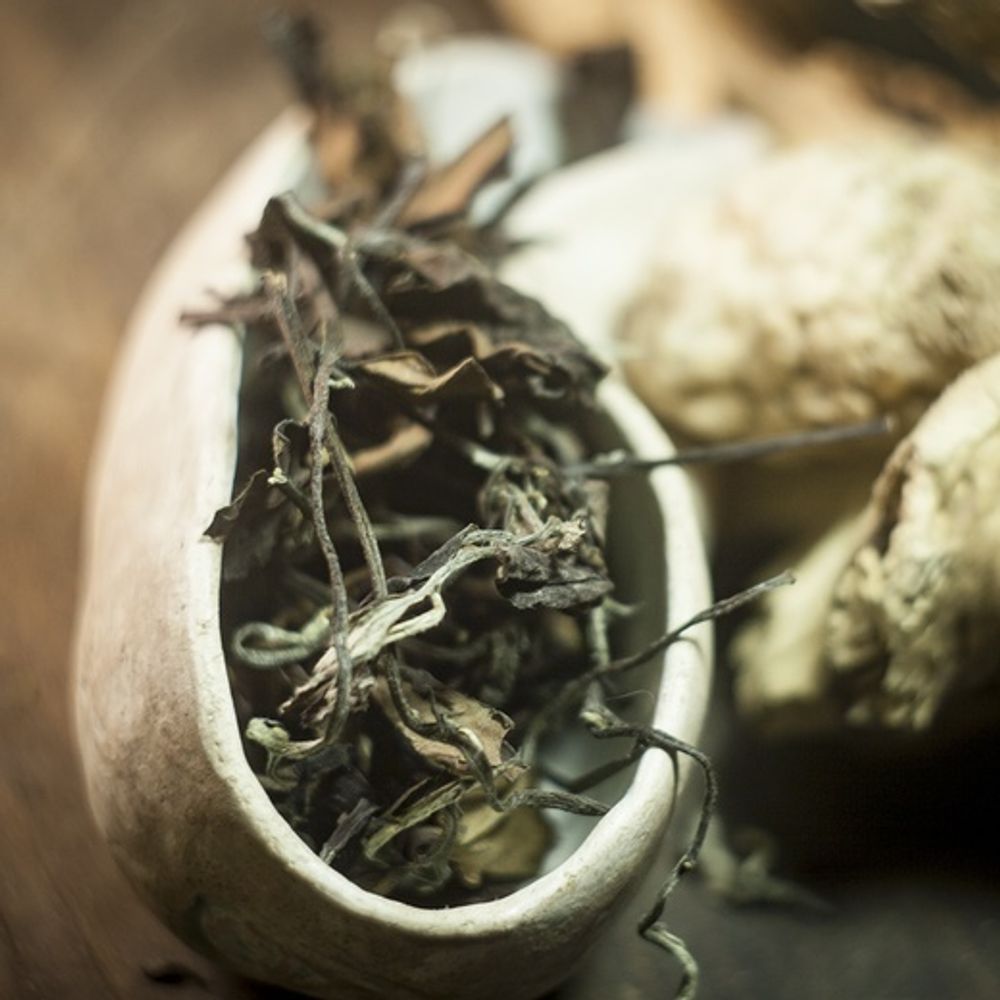 Лао Шоу Мей 2018 г