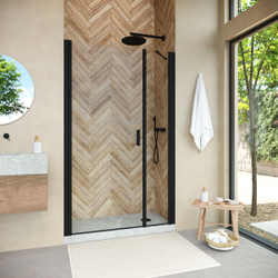 Душевая дверь в нишу Vegas-Glass EP-F-2 Novo 120x200 EP-F-2 NOVO 120 02М 01 стекло прозрачное, профиль черный левое открывание