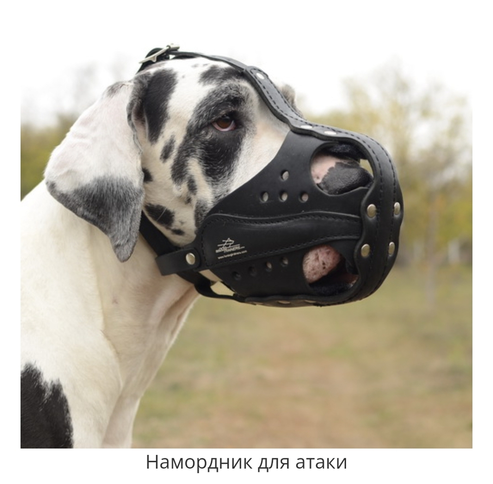 НАМОРДНИК КОЖАНЫЙ "БОЕВОЙ"