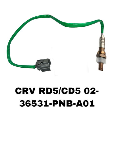 ЛЯМБДОЗОНТ CRV RD5 /CD5 02-