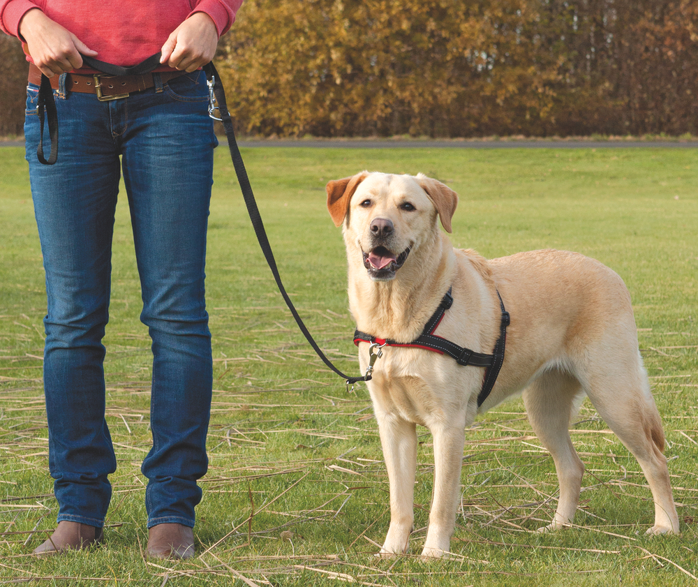 Шлейка для собак Trixie Lead and Walk Soft M, черный