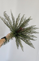 Папоротник Блехнум / Арт 6389