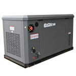 Газовая электростанция Evoline GNG 13500 E GNG13500E