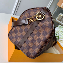 Louis Vuitton Speedy  25
