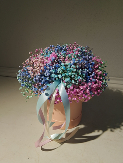 Трендовая гипсофила в разноцветной гамме (КМ0001)