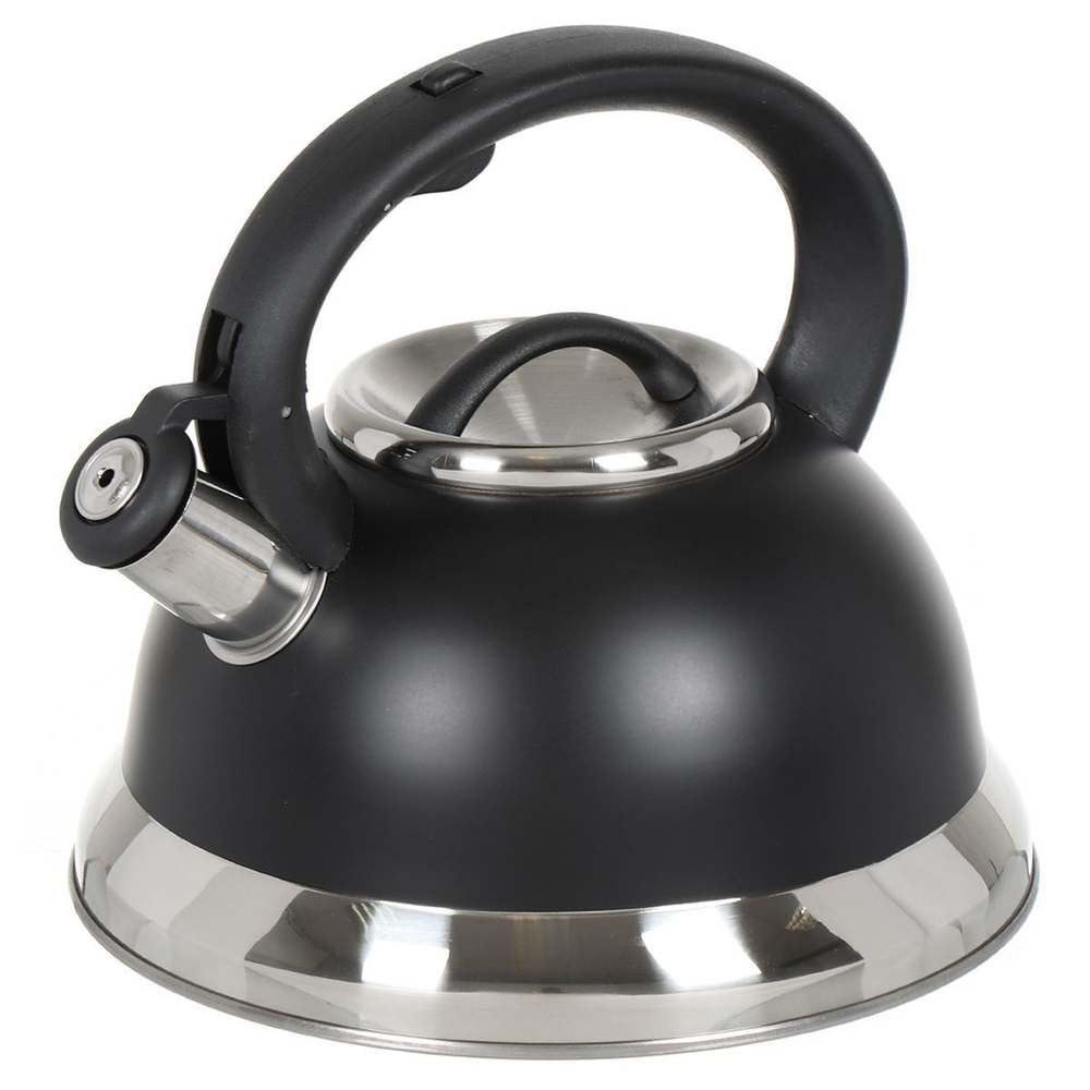 Чайник нерж, 2.5 л, свист, мат, ручк металл, Daniks, чер, GS-04017
