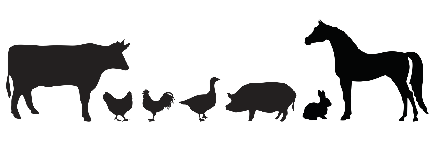  КОРМА И КОРМОВЫЕ ДОБАВКИ