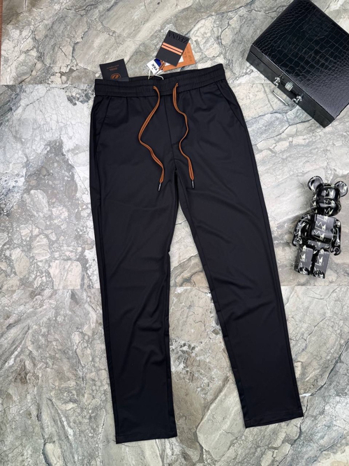 Спортивные штаны Ermenegildo Zegna