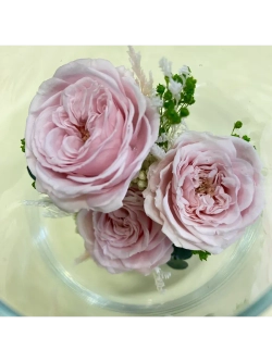 натуральные кустовые розы в стекле, вакуум*