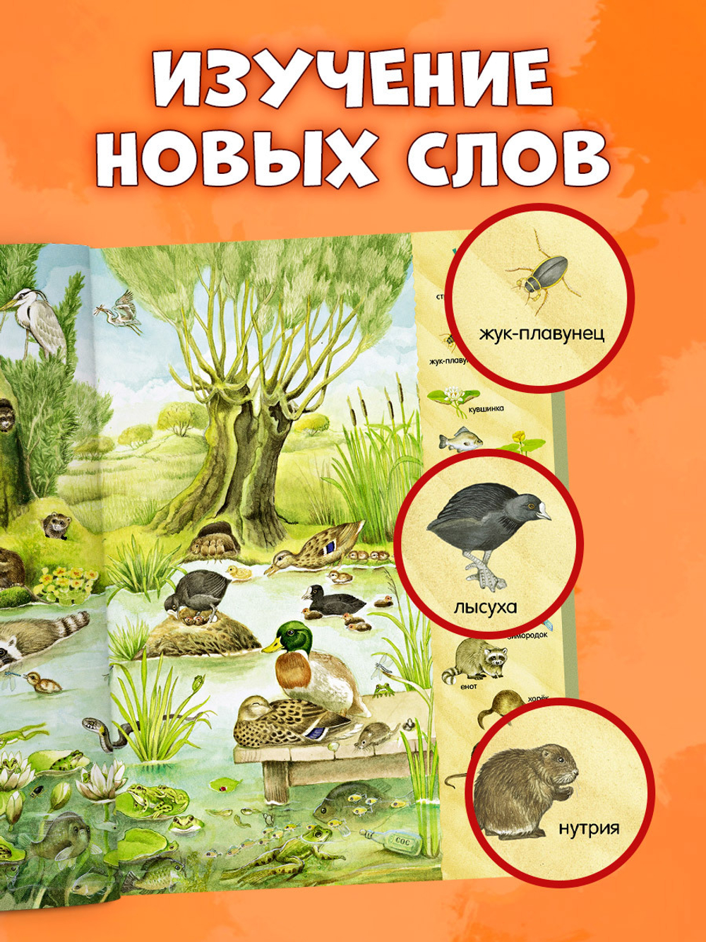 Найди и покажи. 1000 животных