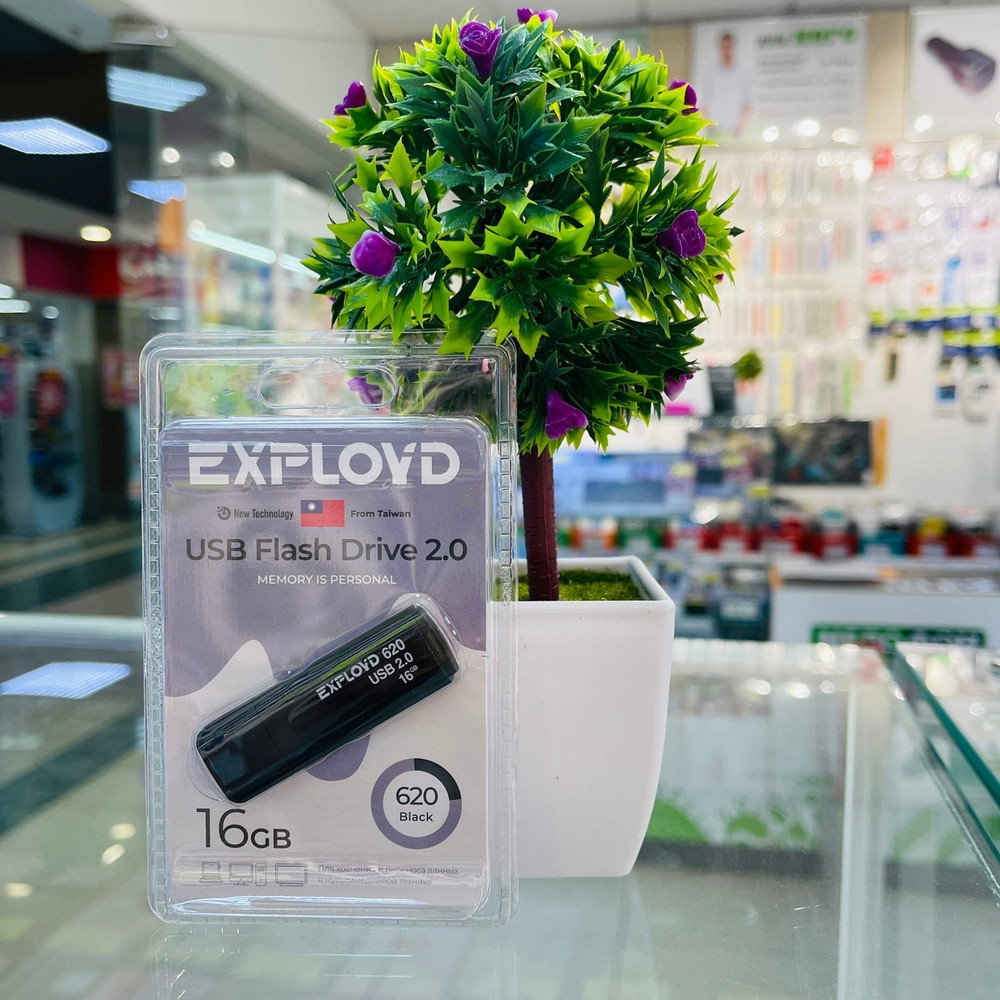 USB Флешка 16GB Exployd 620, USB 2.0, черная