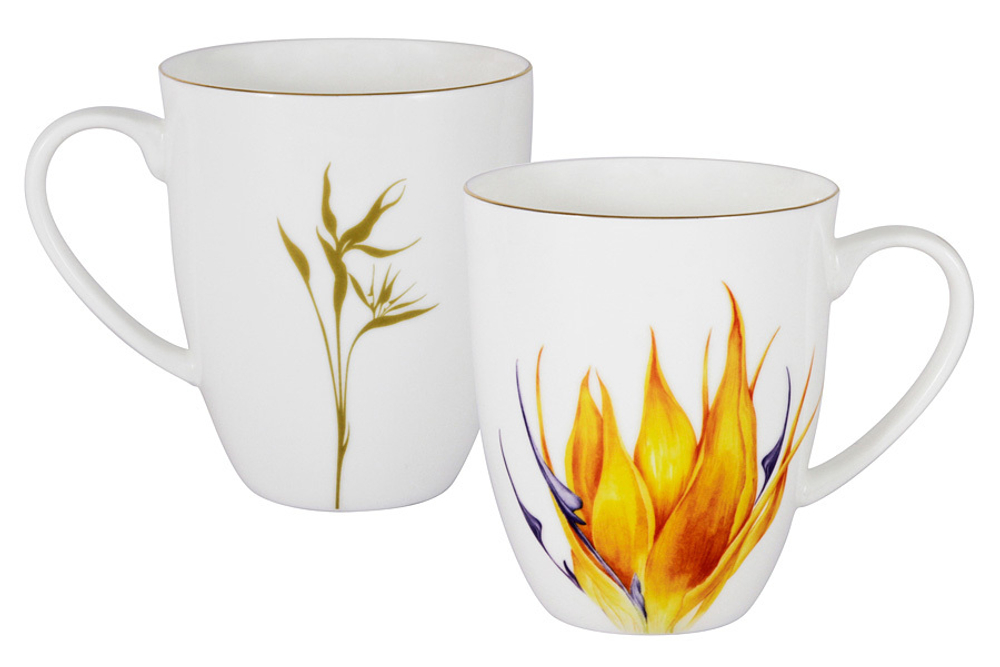 Кружка 0.4л Anna Lafarg Emily Strelitzia