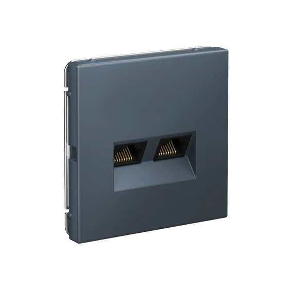 Розетка компьютерная 2-м ArtGallery RJ45 + RJ45 кат.5E механизм грифель SE GAL000785